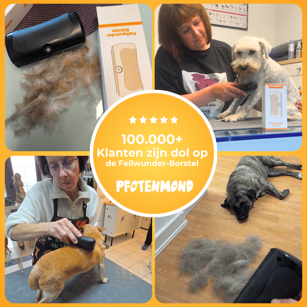 Hondenborstel voor de hond kopen Hondenborstel voor de hond kopen