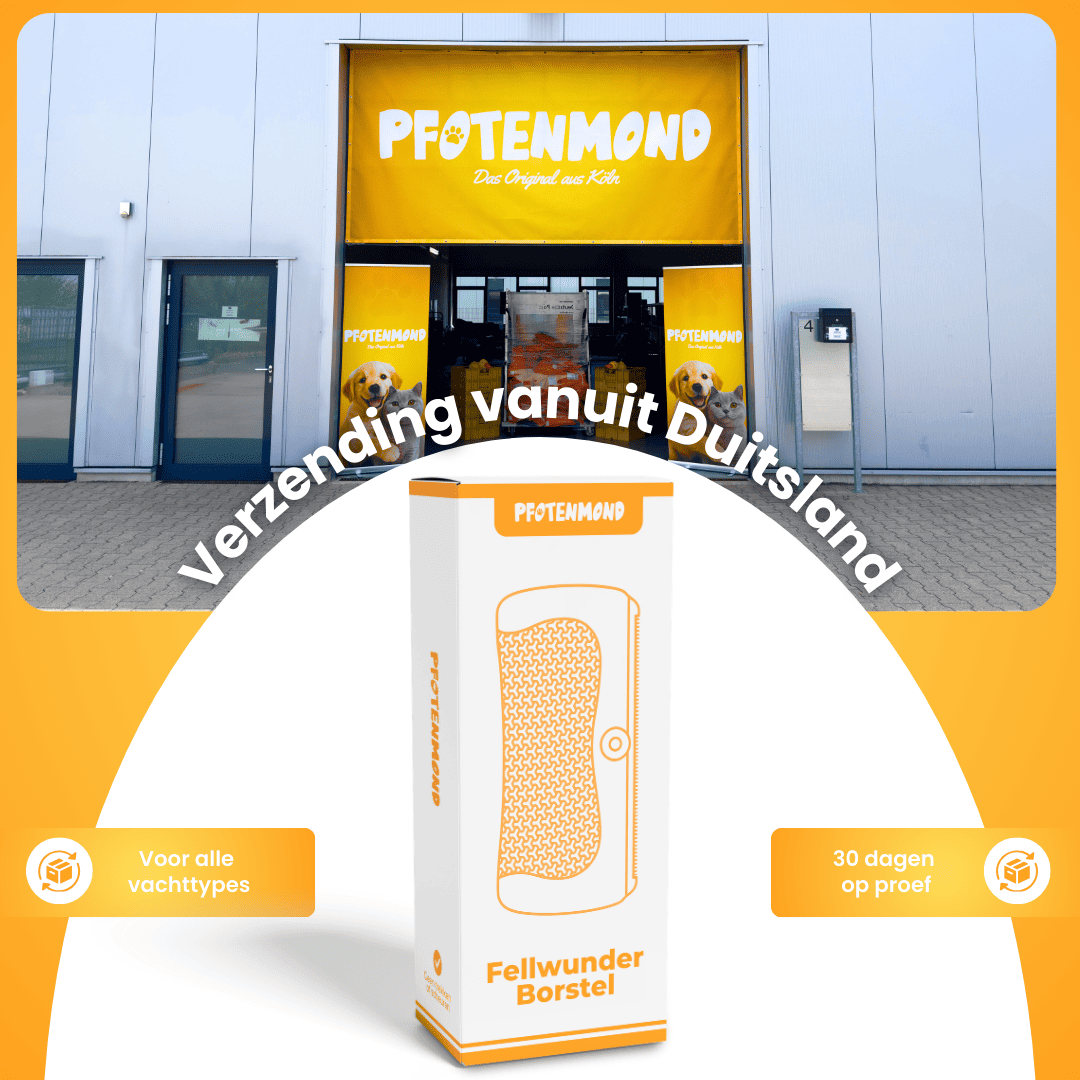 Fellwunder Hondenborstel, kort haar, vachtborstel voor honden